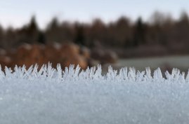 Foto: triolog