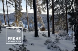 Foto: triolog