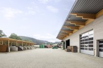 mgf_Team Grün Elzach_web_01.jpg